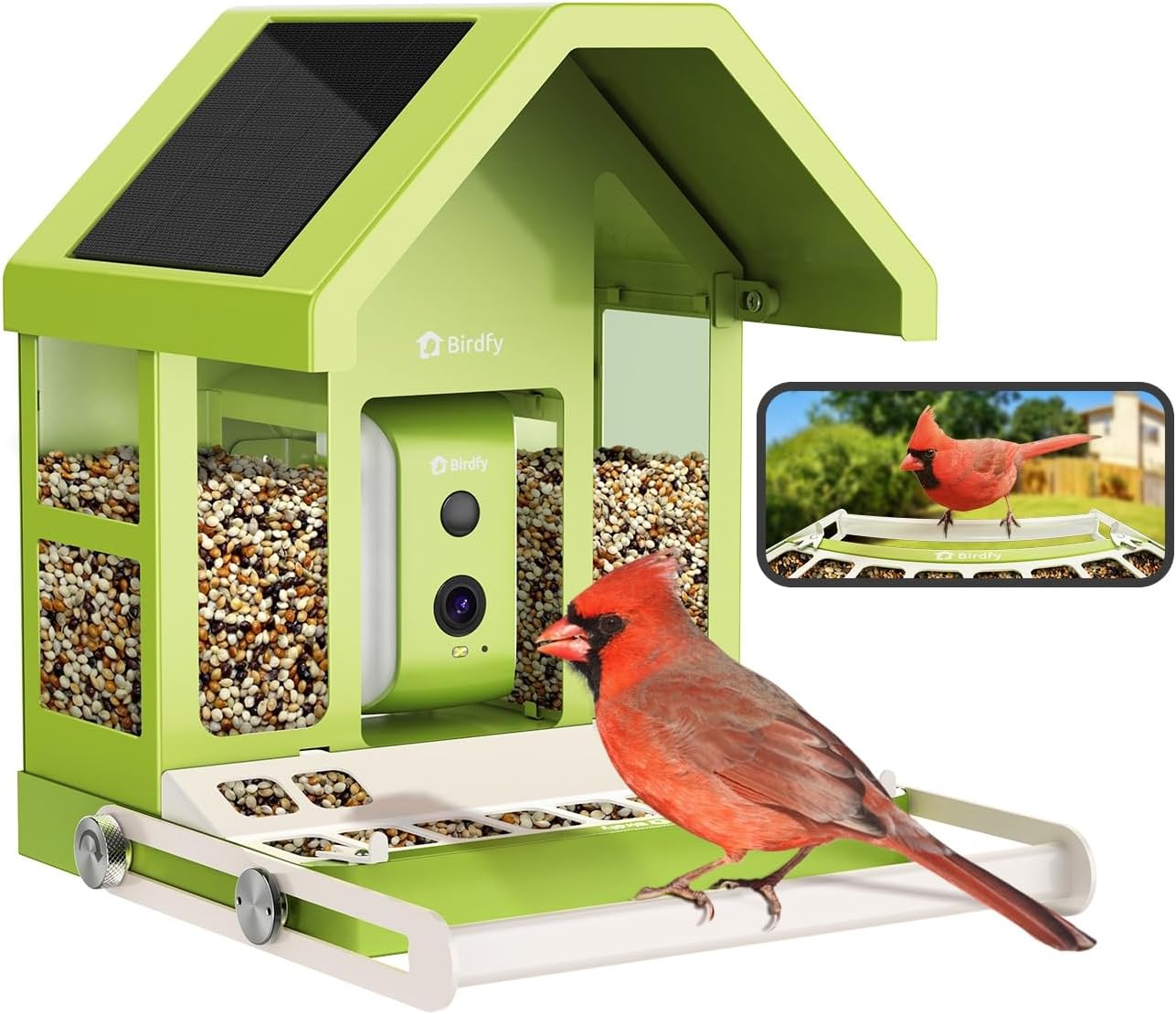 Smart Bird Feeder Camera - Smart Bird Feeder with Camera, 1080P