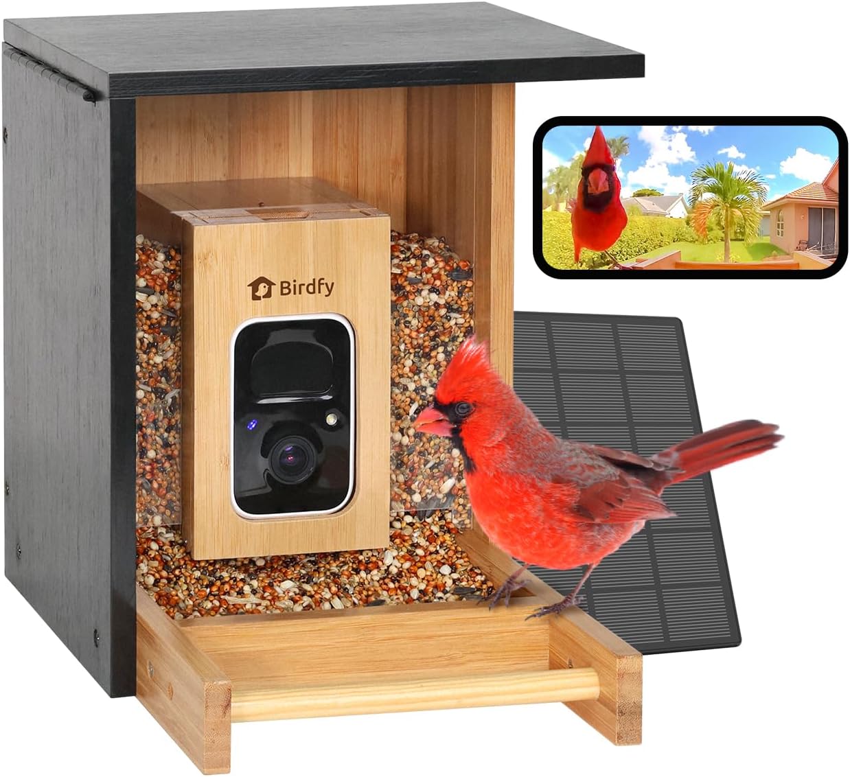 Smart Bird Feeder Camera - Smart Bird Feeder with Camera, Solar