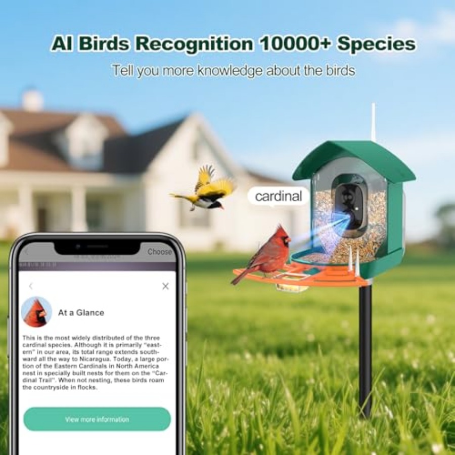 Bird Feeder with Camera, WiFi  - Smart Bird Feeder Camera avaliação e preço