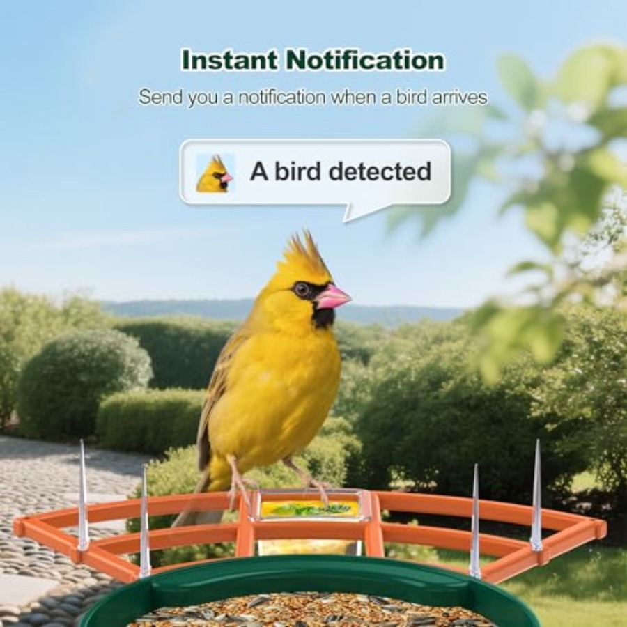 Bird Feeder with Camera, WiFi  - Smart Bird Feeder Camera avaliação e preço