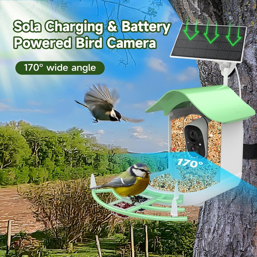 Solar Powered Smart Bird Feede - Smart Bird Feeder Camera avaliação e preço
