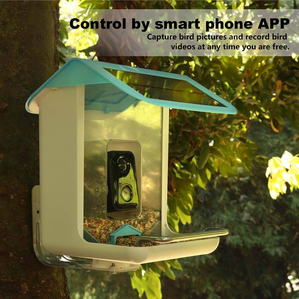Outdoor Wildlife Wifi Camera C - Smart Bird Feeder Camera avaliação e preço