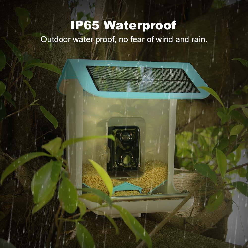 Outdoor Wildlife Wifi Camera C - Smart Bird Feeder Camera avaliação e preço