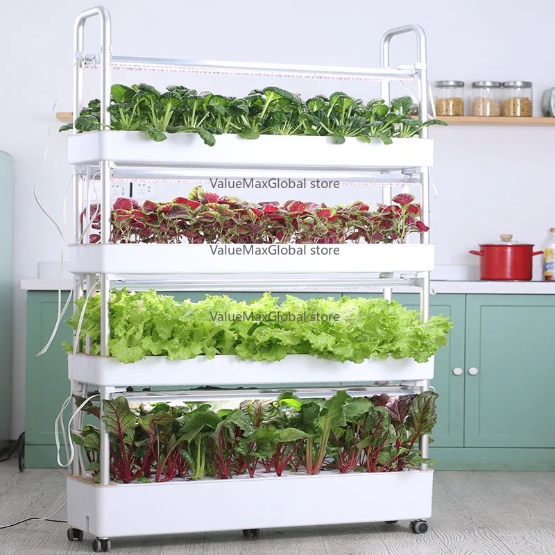 Vertical Hydroponic System for - Aquaponics Home Kit avaliação e preço