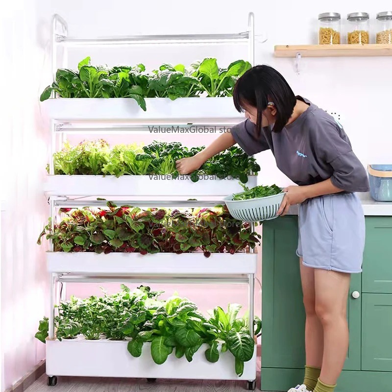 Vertical Hydroponic System for - Aquaponics Home Kit avaliação e preço