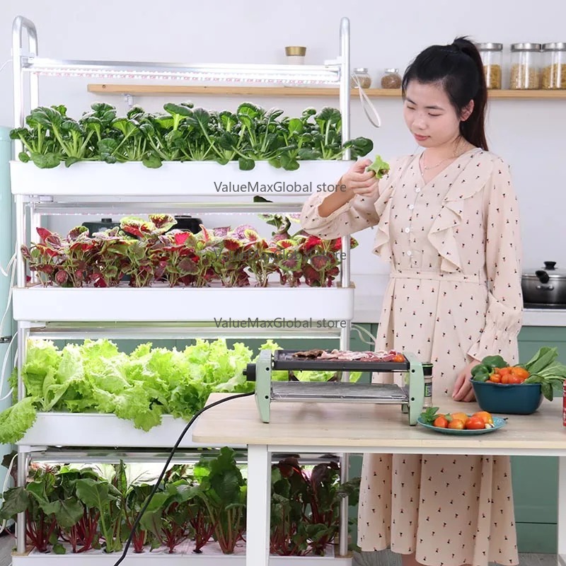 Vertical Hydroponic System for - Aquaponics Home Kit avaliação e preço