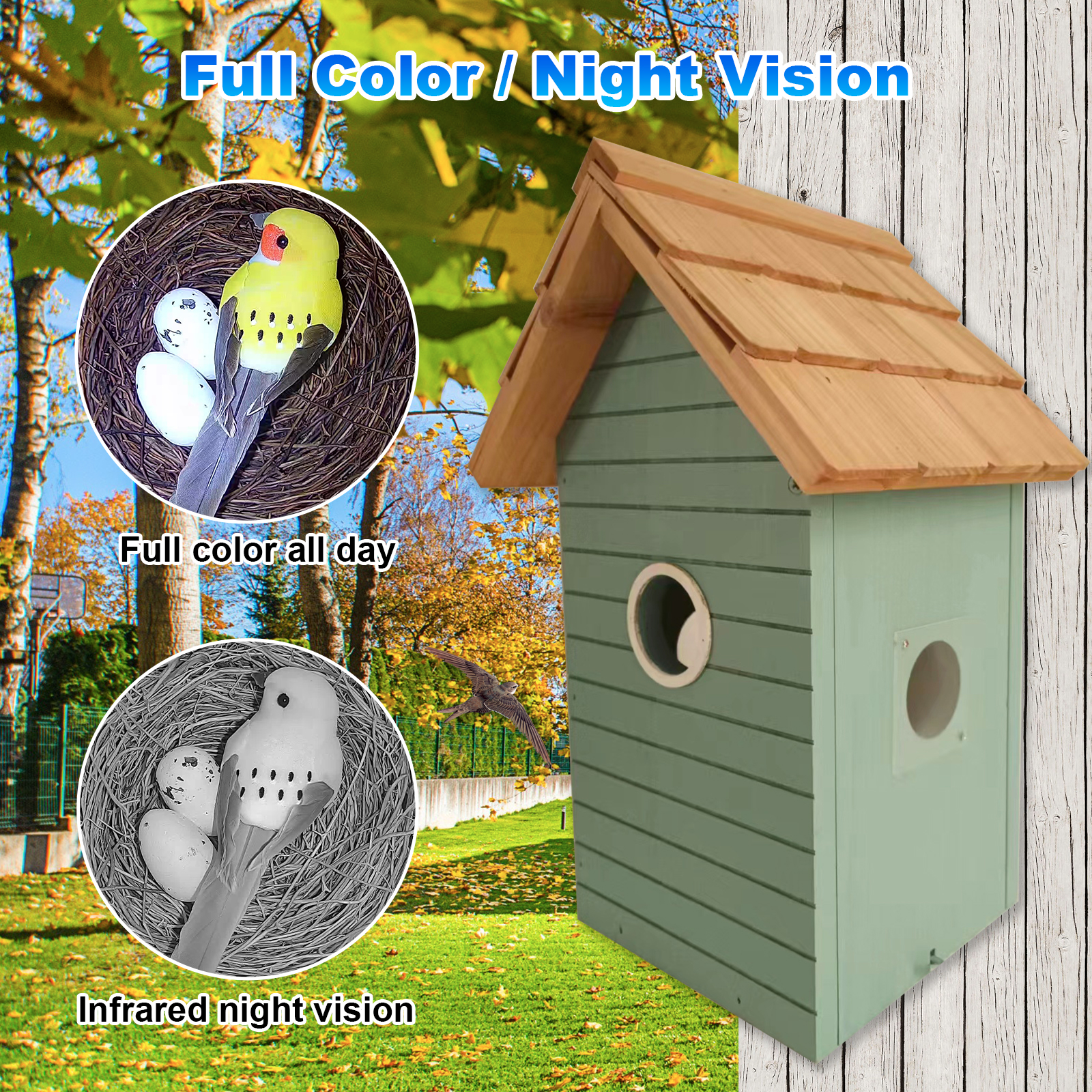 Factory Price 3MP Smart Bird F - Smart Bird Feeder Camera avaliação e preço