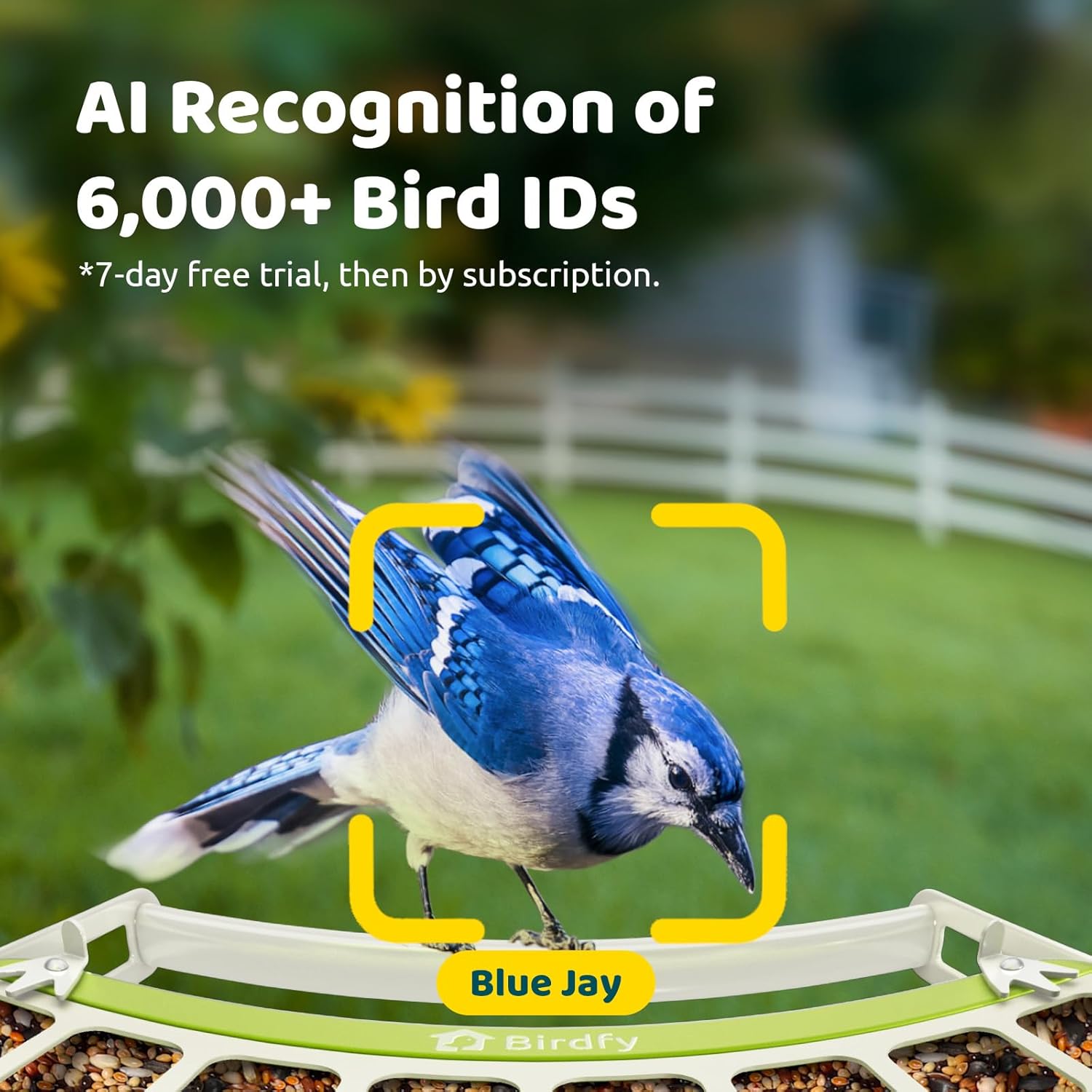 Smart Bird Feeder with Camera, - Smart Bird Feeder Camera avaliação e preço