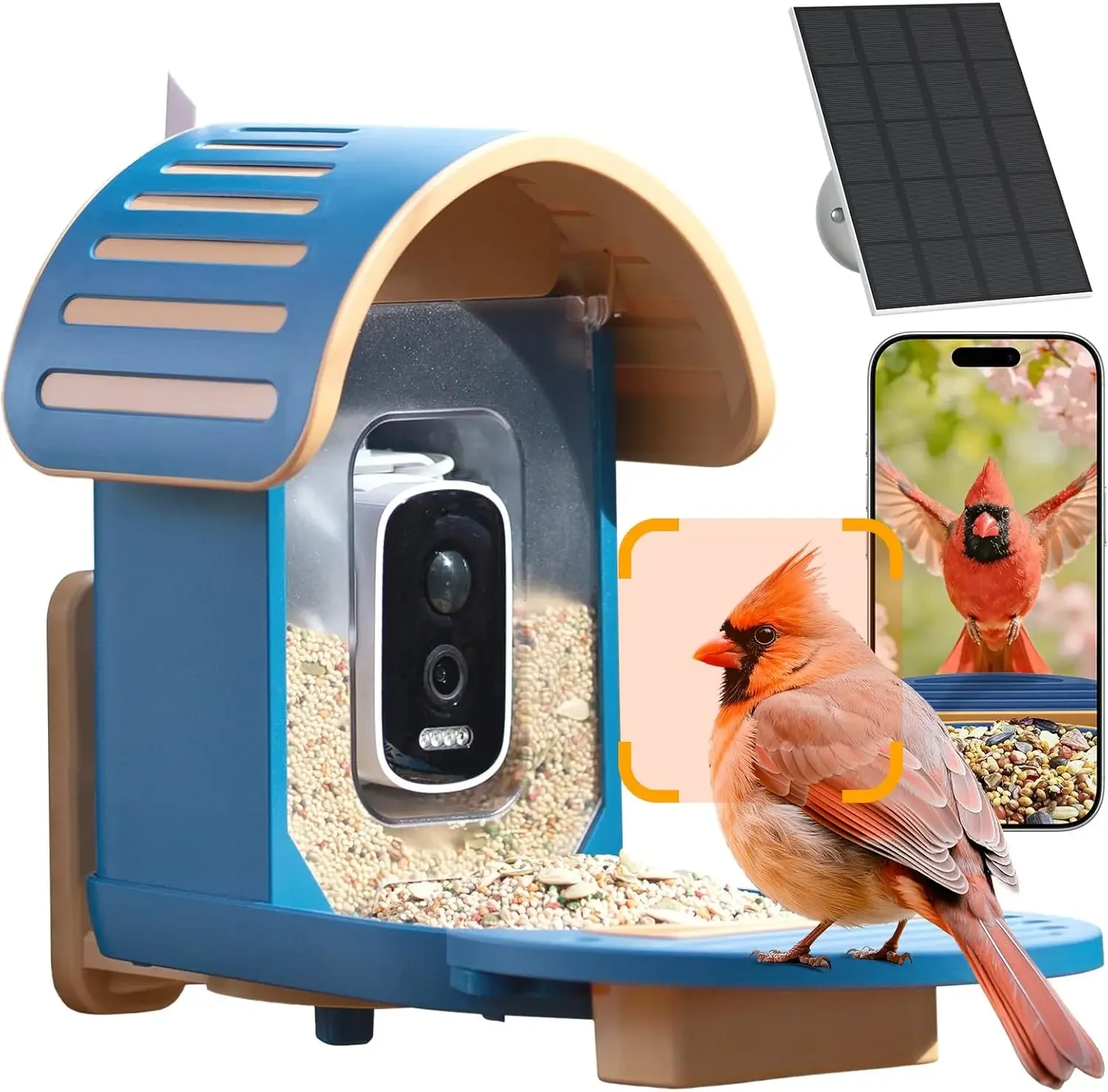 Smart Bird Feeder Camera Solar - Smart Bird Feeder Camera avaliação e preço