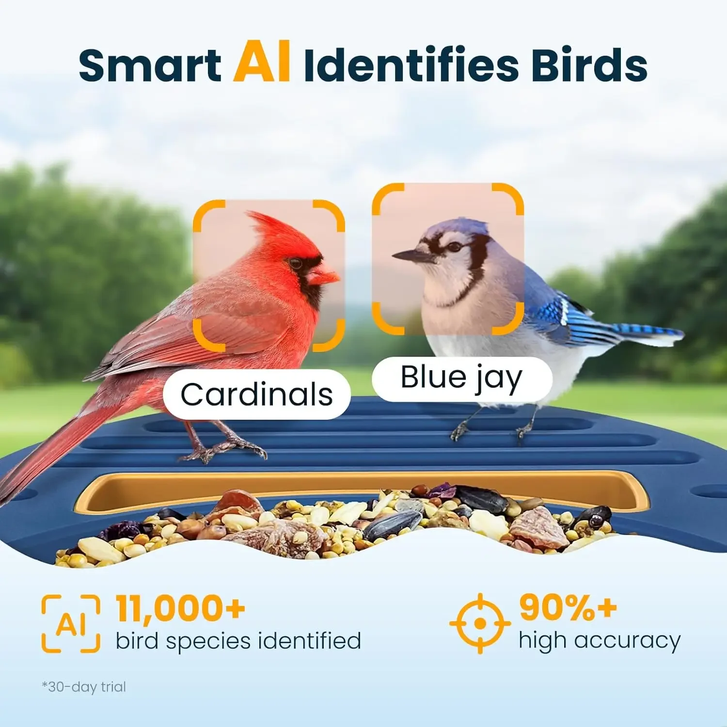 Smart Bird Feeder Camera Solar - Smart Bird Feeder Camera avaliação e preço