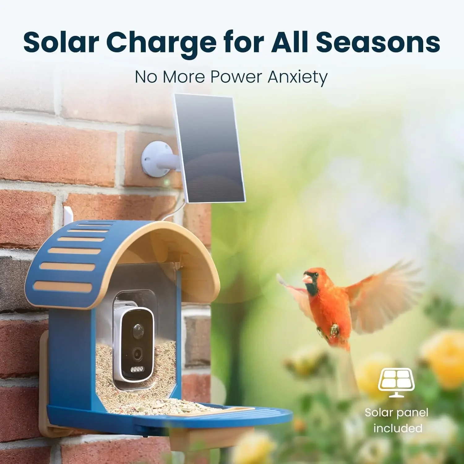Smart Bird Feeder Camera Solar - Smart Bird Feeder Camera avaliação e preço