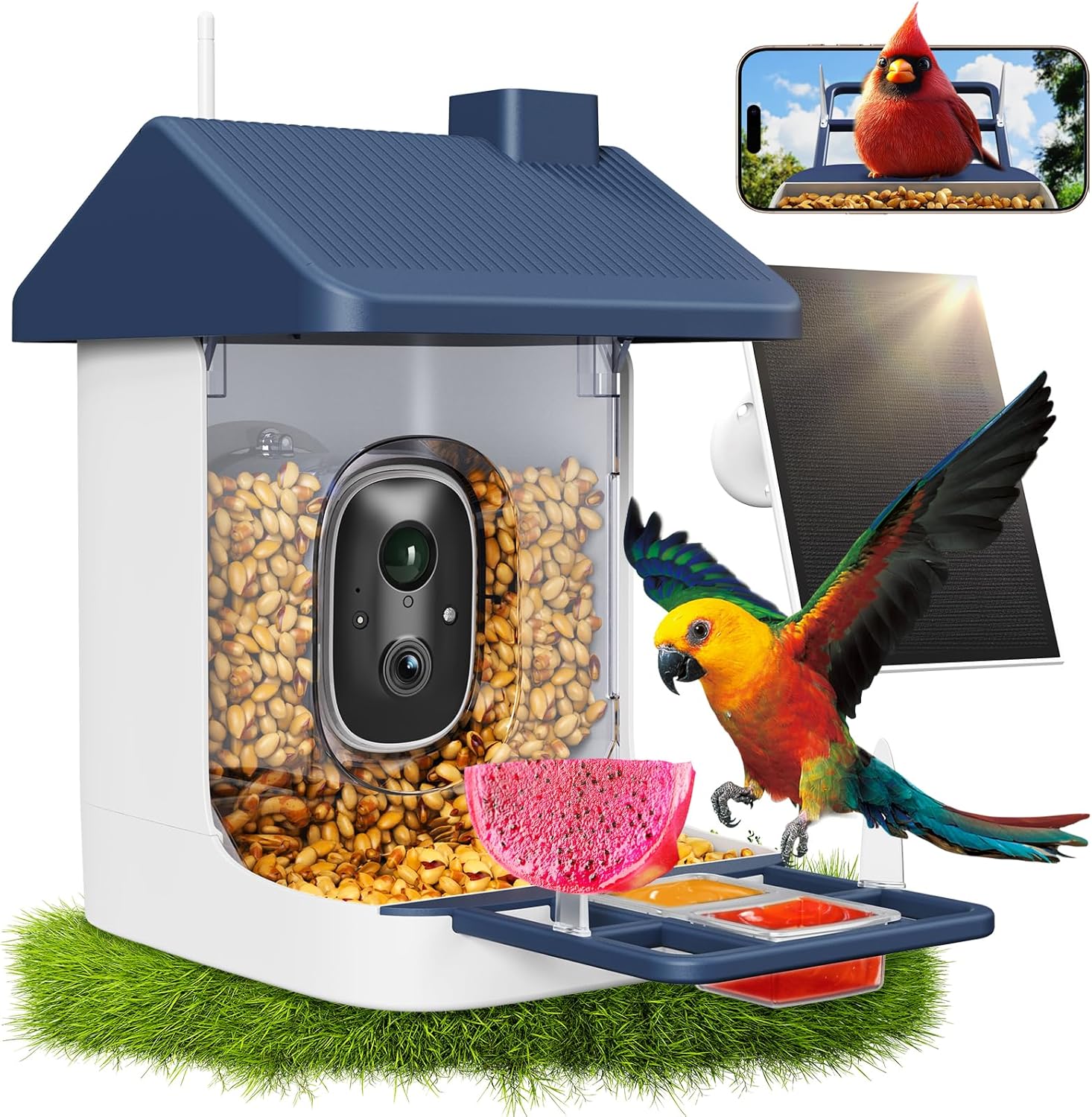 Solar-Powered Smart Bird Feede - Smart Bird Feeder Camera avaliação e preço