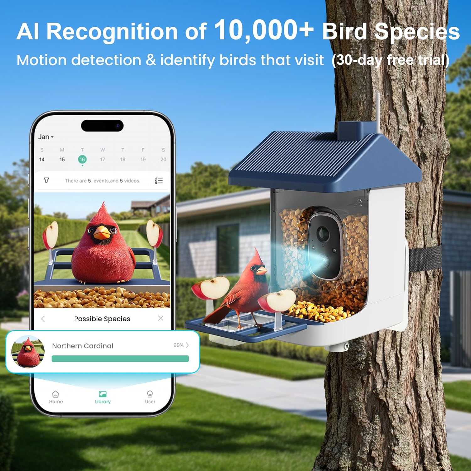 Solar-Powered Smart Bird Feede - Smart Bird Feeder Camera avaliação e preço
