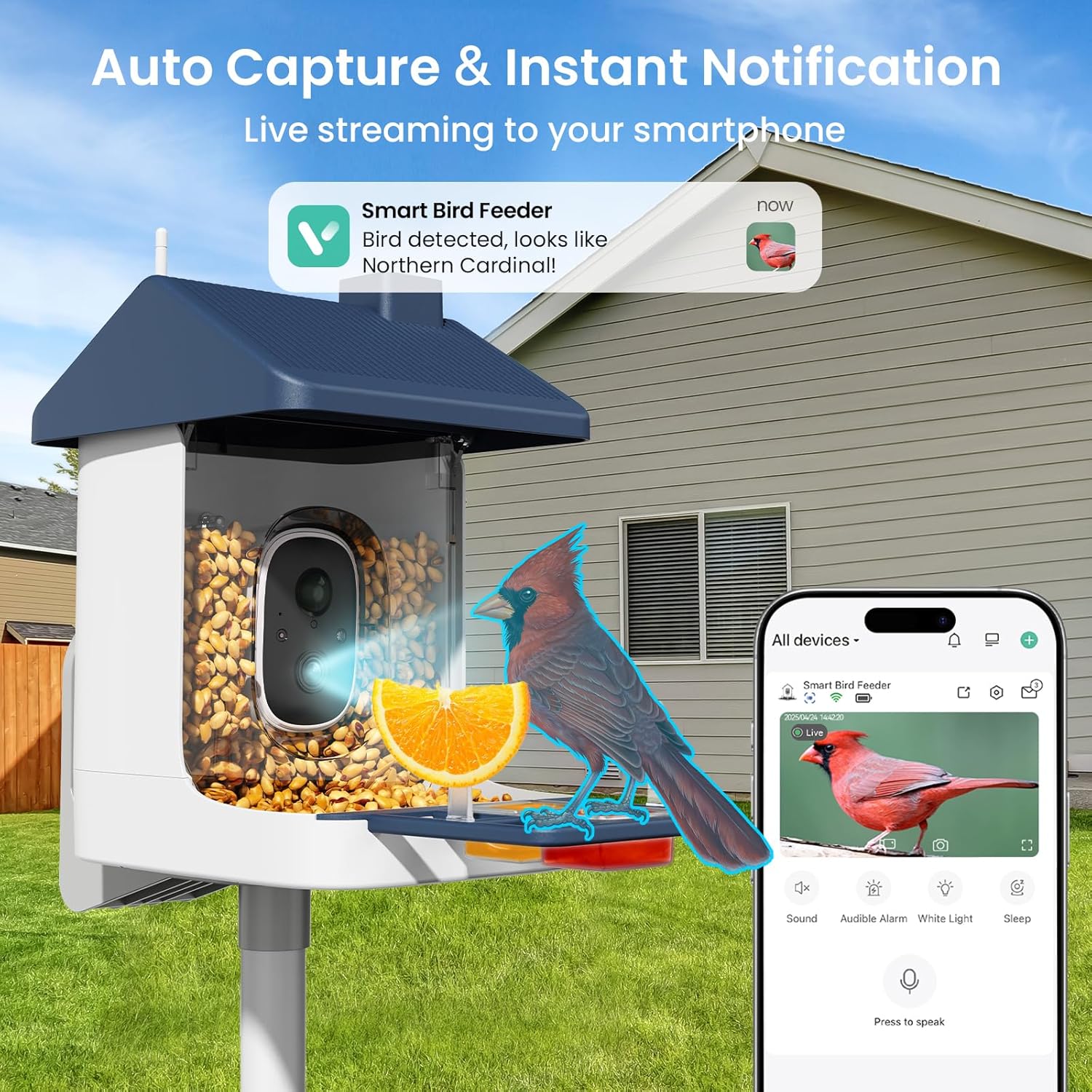 Solar-Powered Smart Bird Feede - Smart Bird Feeder Camera avaliação e preço