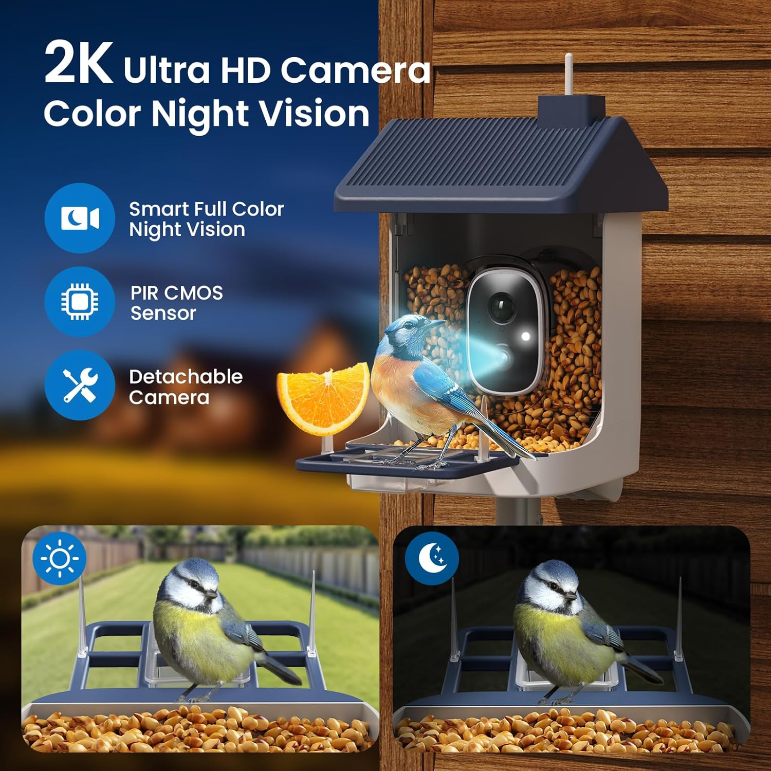 Solar-Powered Smart Bird Feede - Smart Bird Feeder Camera avaliação e preço