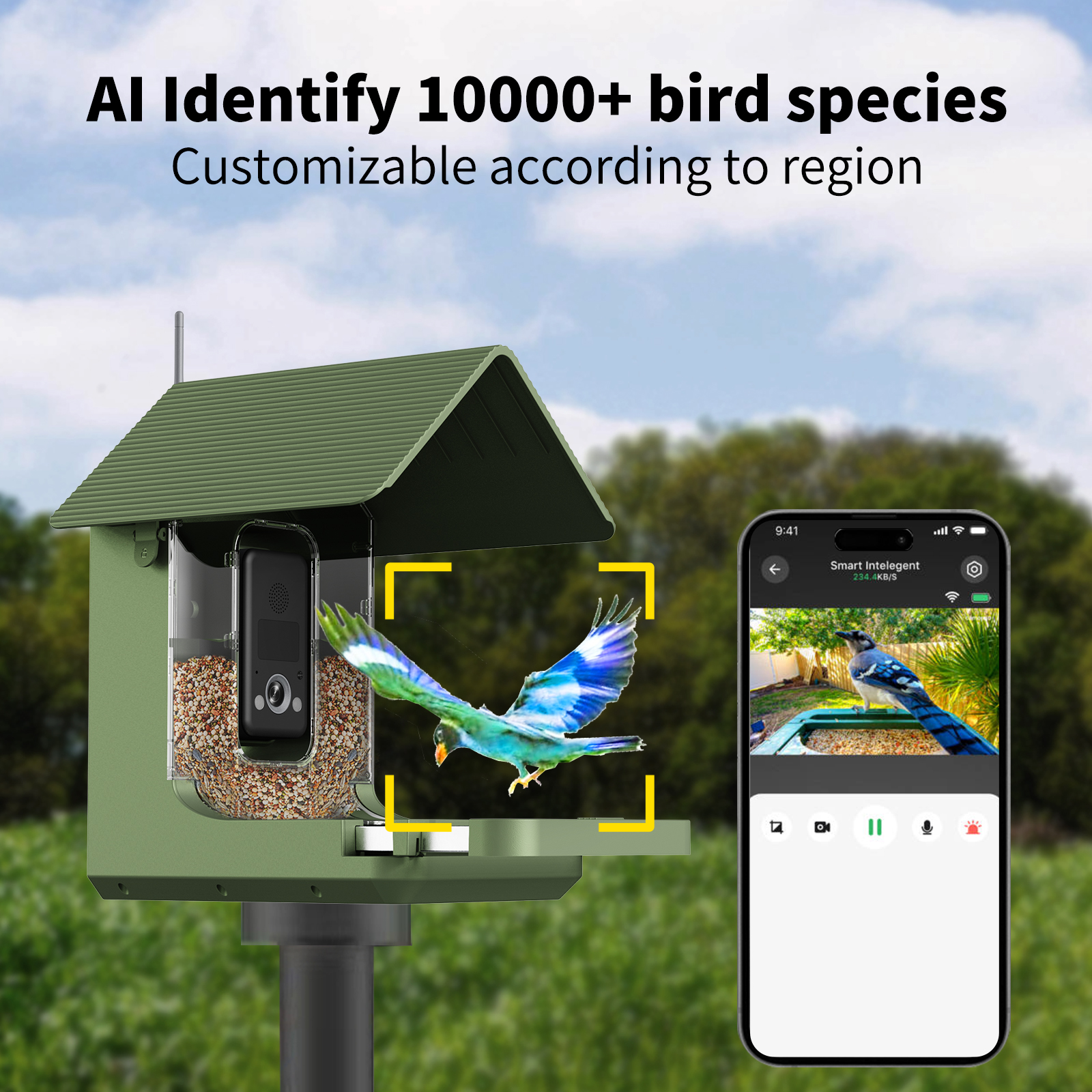 Willfine 0.4S Trigger Speed AI - Smart Bird Feeder Camera avaliação e preço