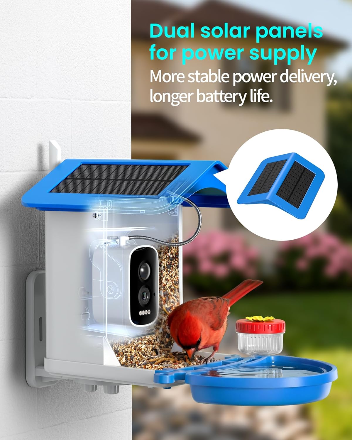 Smart Bird Feeder Camera 2.5K  - Smart Bird Feeder Camera avaliação e preço