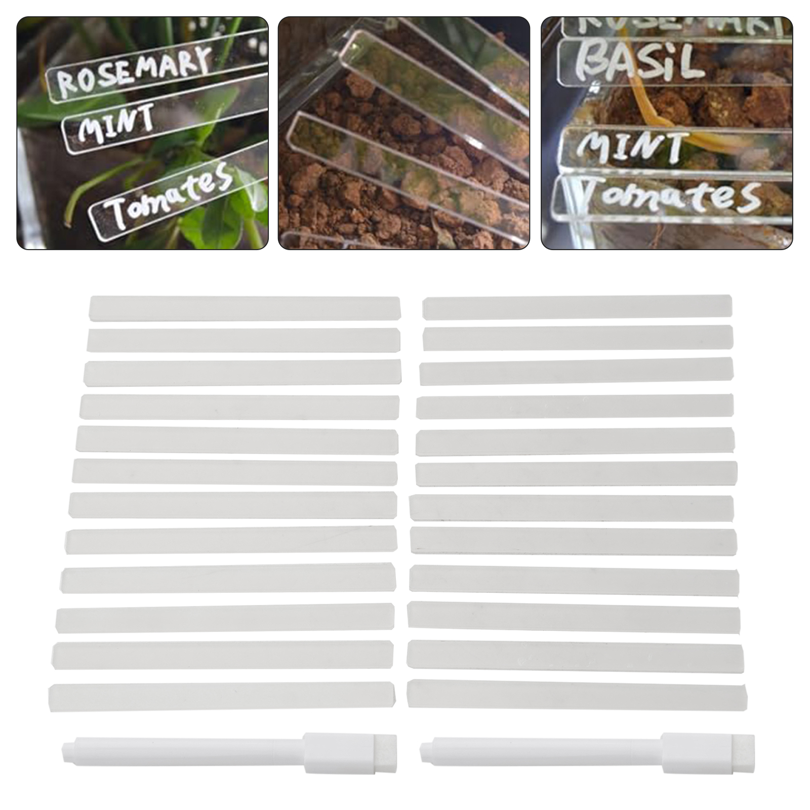 SAAAAAAcrylicPlantLabelTag Cle - Garden Journal Planner avaliação e preço