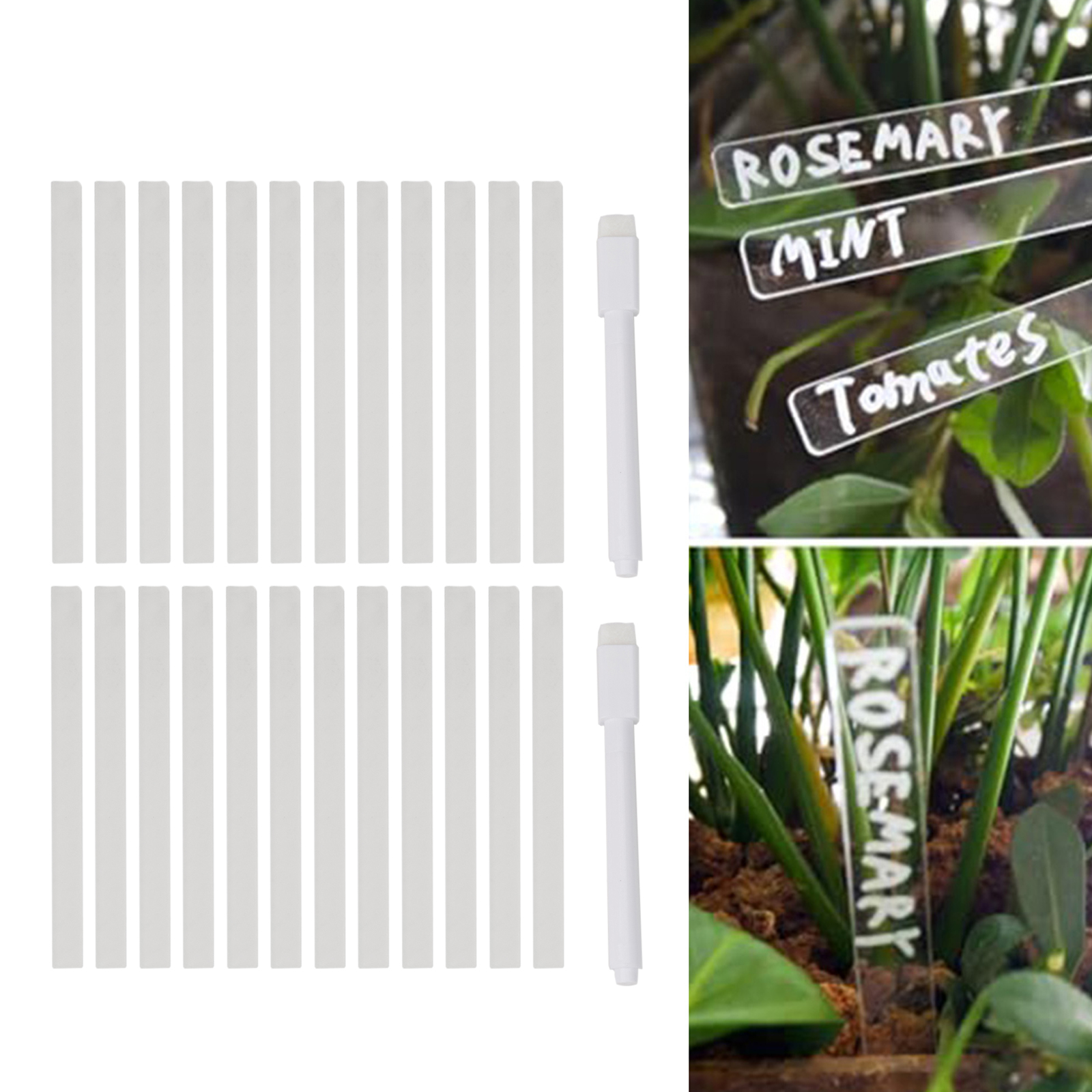 SAAAAAAcrylicPlantLabelTag Cle - Garden Journal Planner avaliação e preço