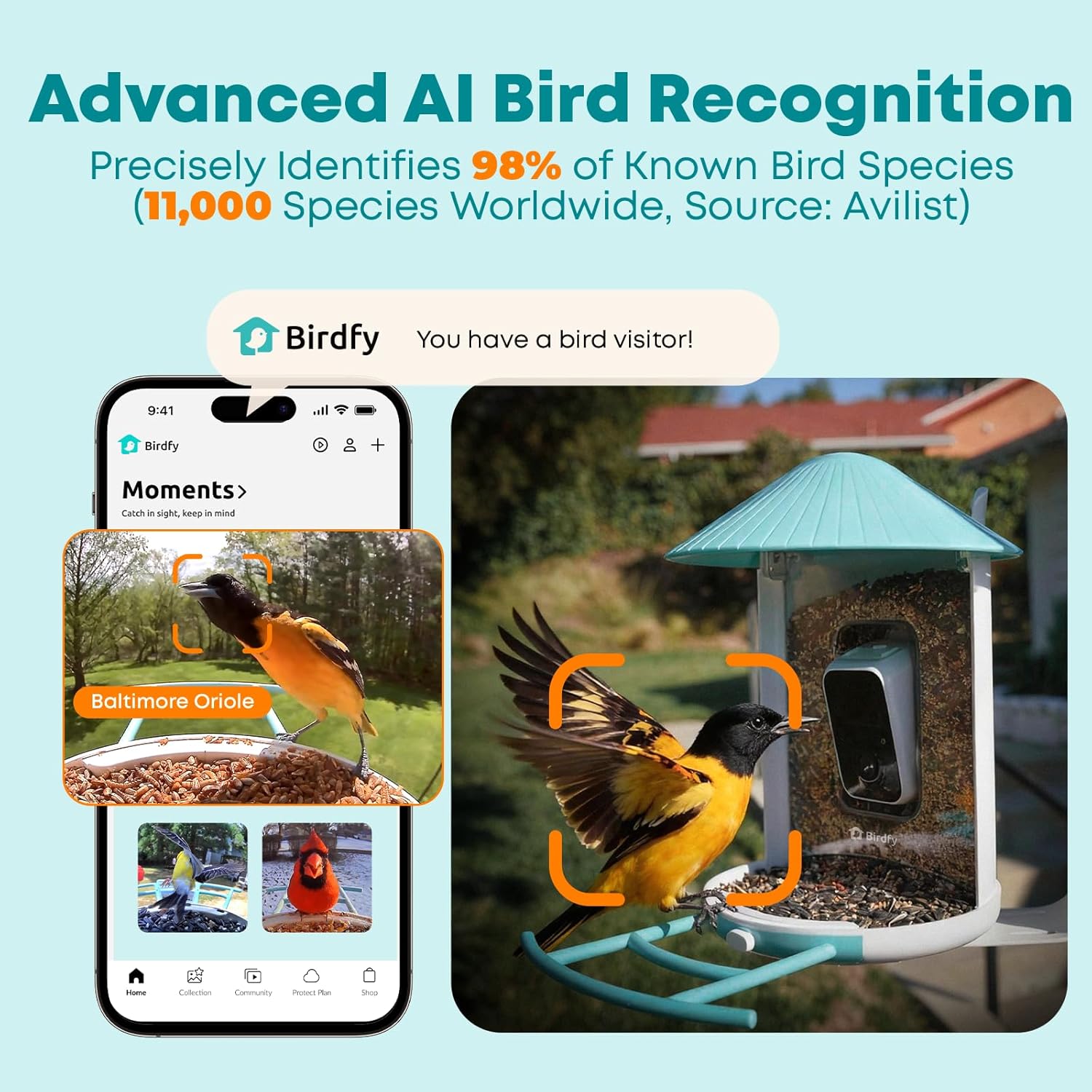 Smart Bird Feeder with AI Came - Smart Bird Feeder Camera avaliação e preço