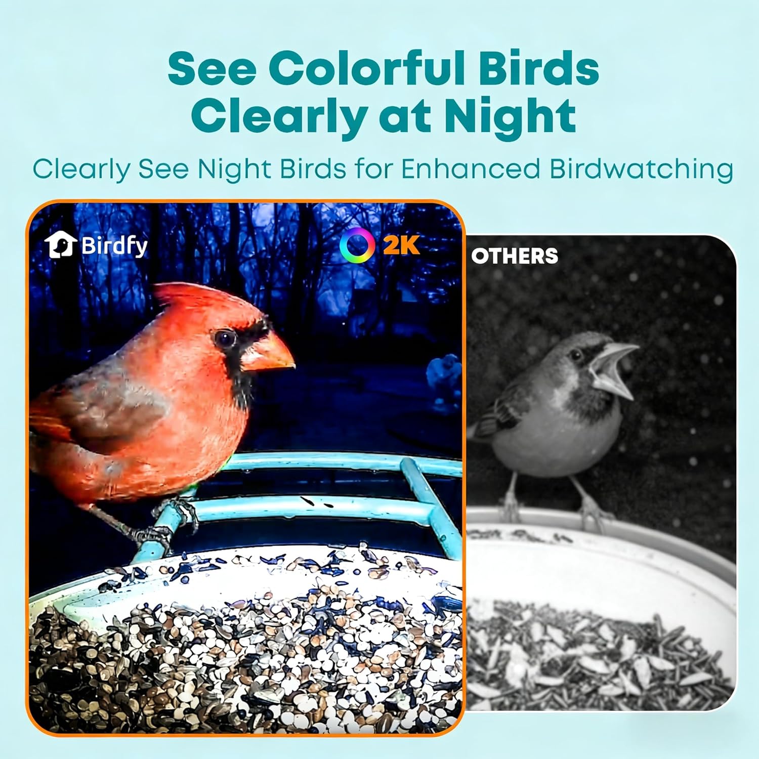 Smart Bird Feeder with AI Came - Smart Bird Feeder Camera avaliação e preço