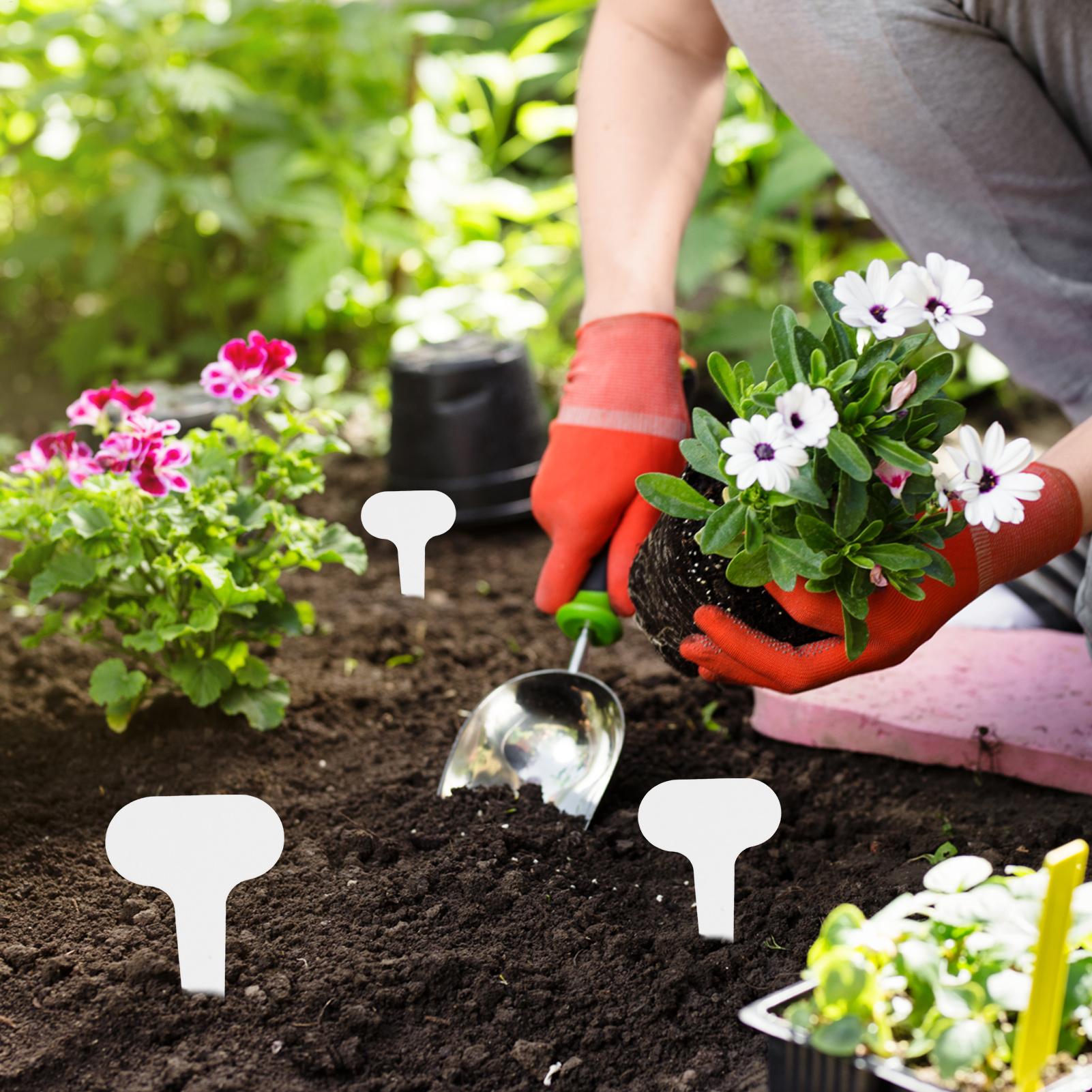 100 pieces White Plastic PVC P - Garden Journal Planner avaliação e preço