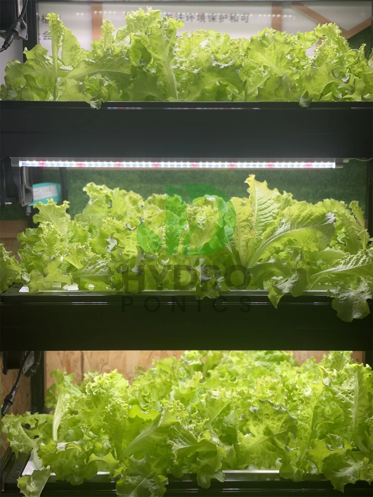 Indoor Home Smart Led Aquaponi - Aquaponics Home Kit avaliação e preço