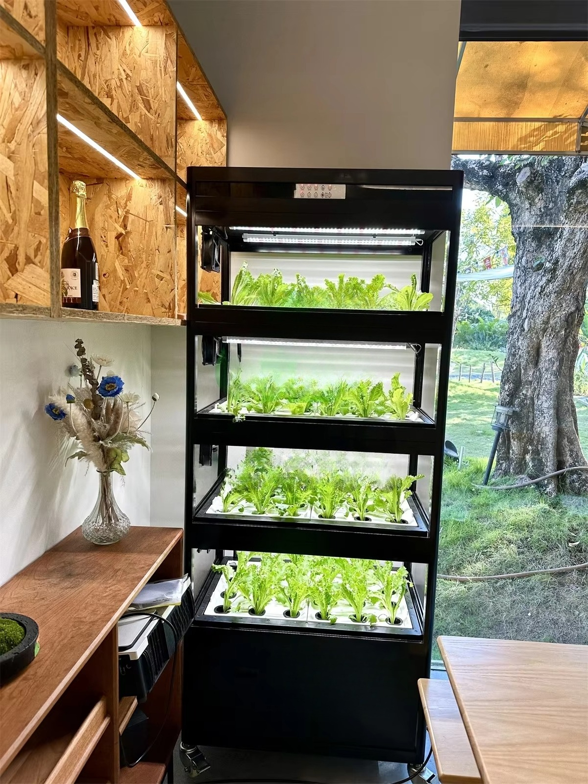 Indoor Home Smart Led Aquaponi - Aquaponics Home Kit avaliação e preço