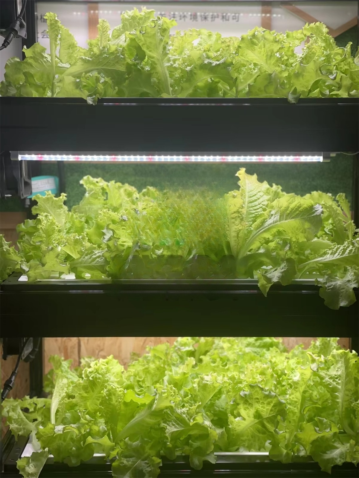 Indoor Home Smart Led Aquaponi - Aquaponics Home Kit avaliação e preço