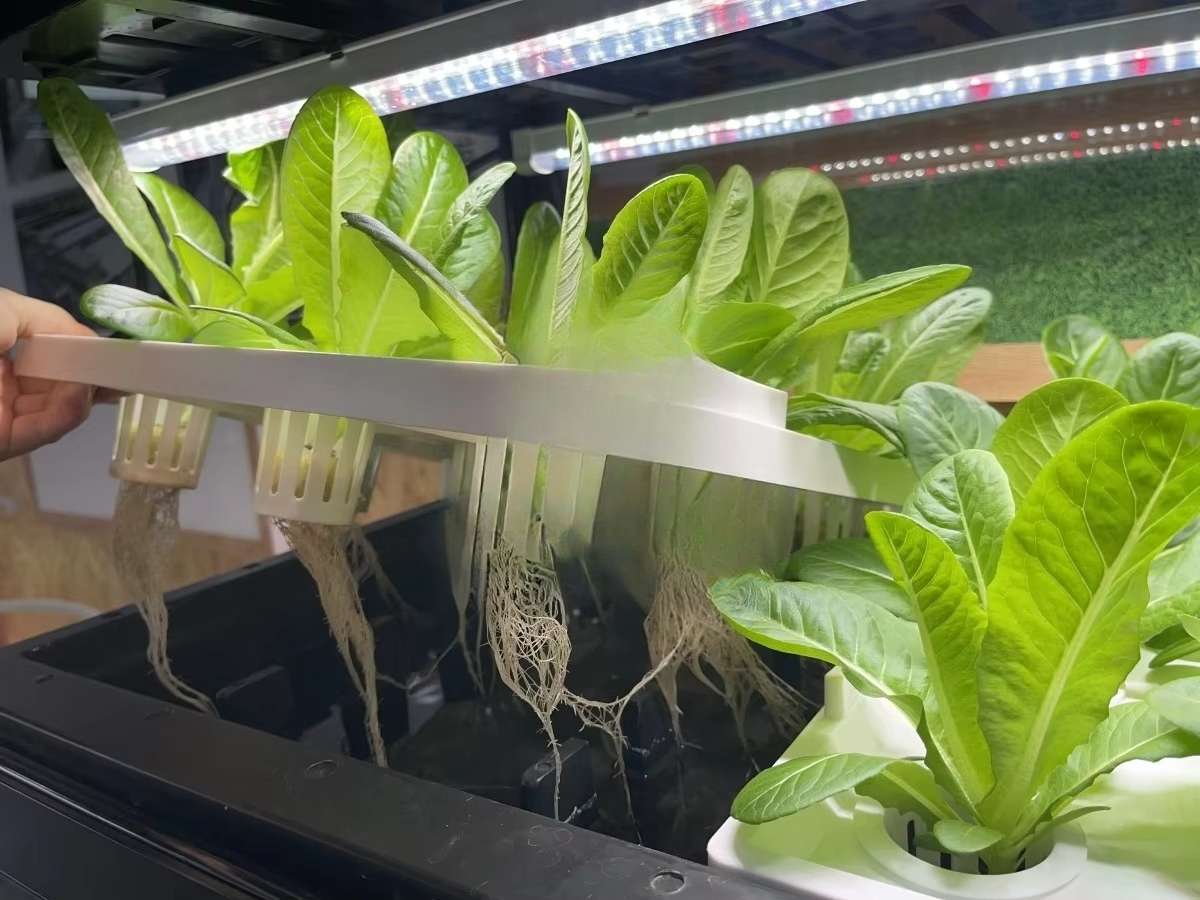 Indoor Home Smart Led Aquaponi - Aquaponics Home Kit avaliação e preço