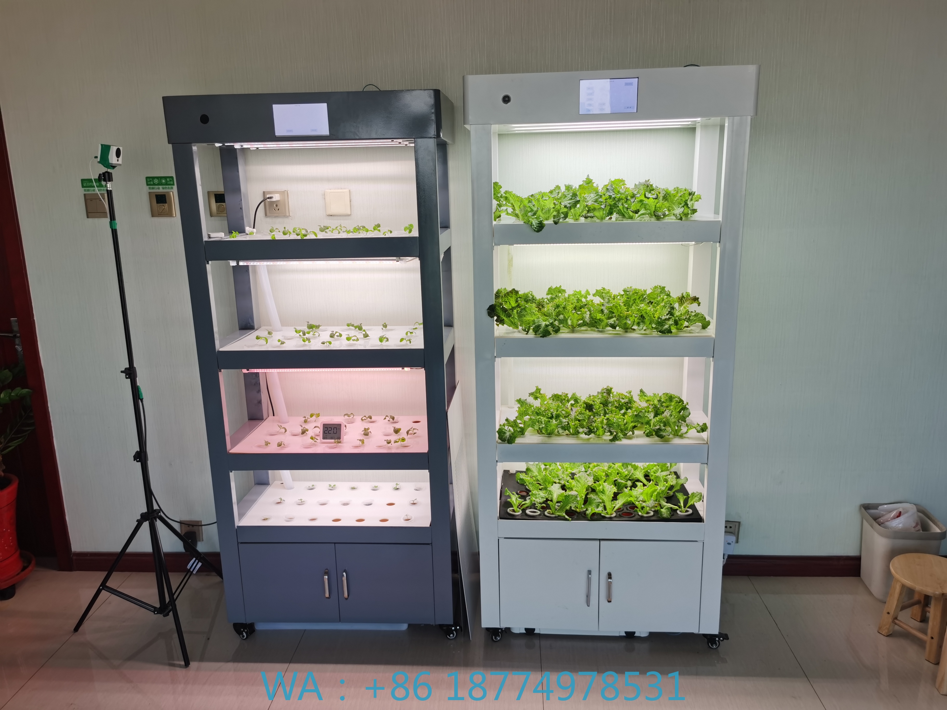 Aeroponic Vertical Hydroponic  - Aquaponics Home Kit avaliação e preço