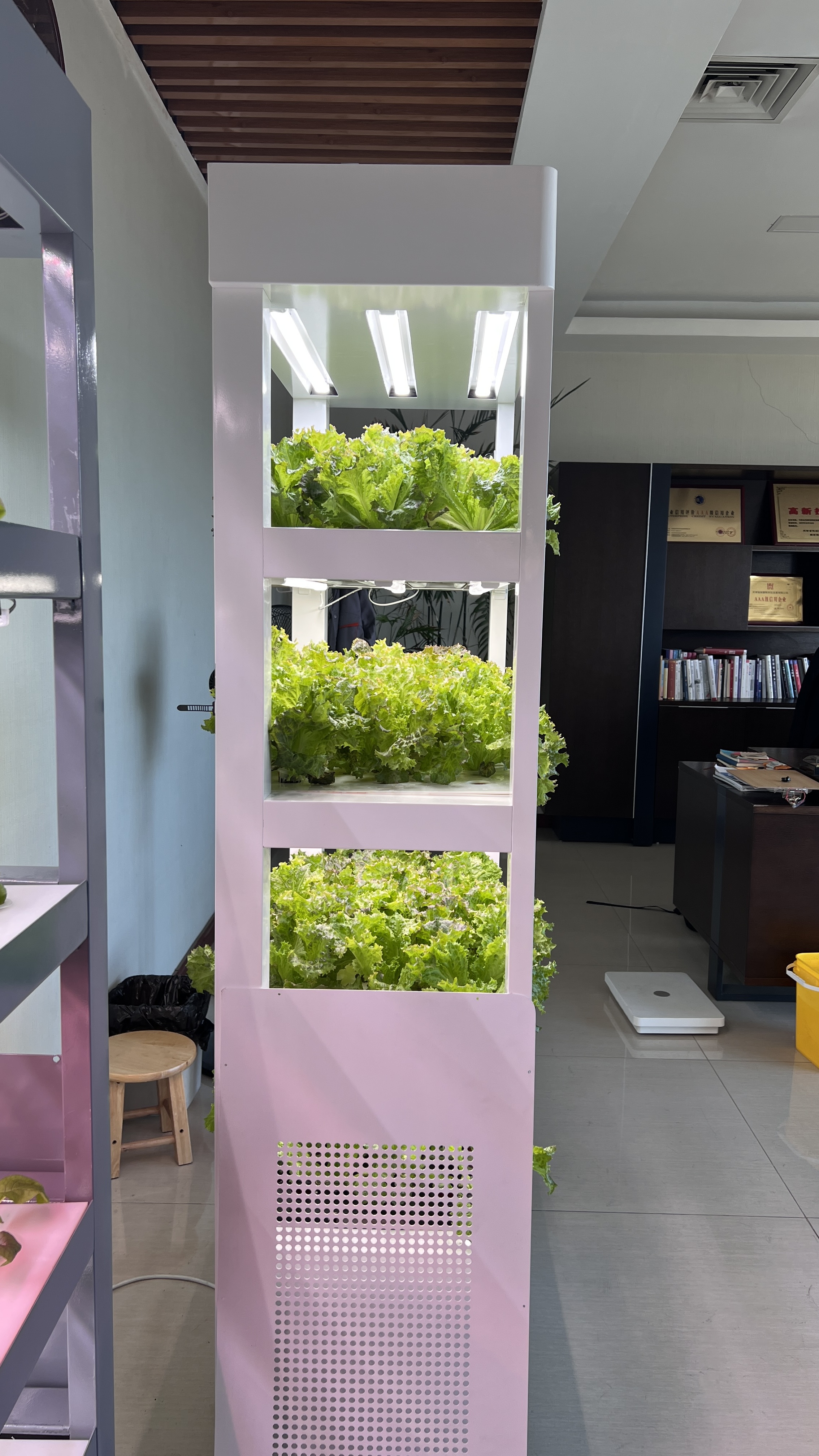 Aeroponic Vertical Hydroponic  - Aquaponics Home Kit avaliação e preço
