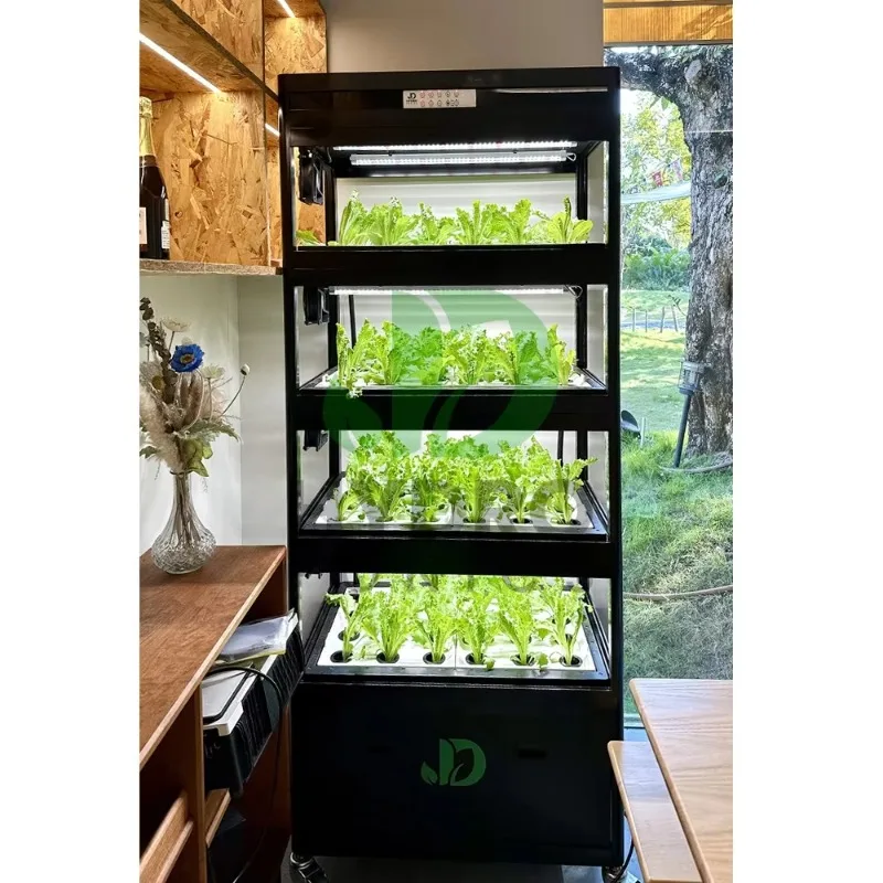 108 Holes Hydroponic Cabinet G - Aquaponics Home Kit avaliação e preço