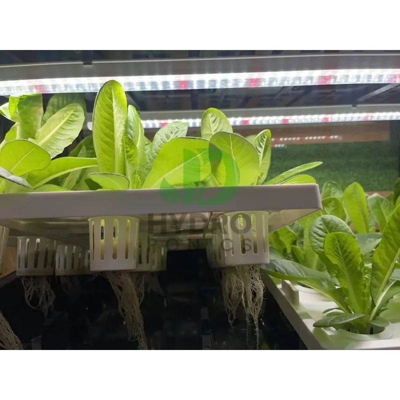 108 Holes Hydroponic Cabinet G - Aquaponics Home Kit avaliação e preço