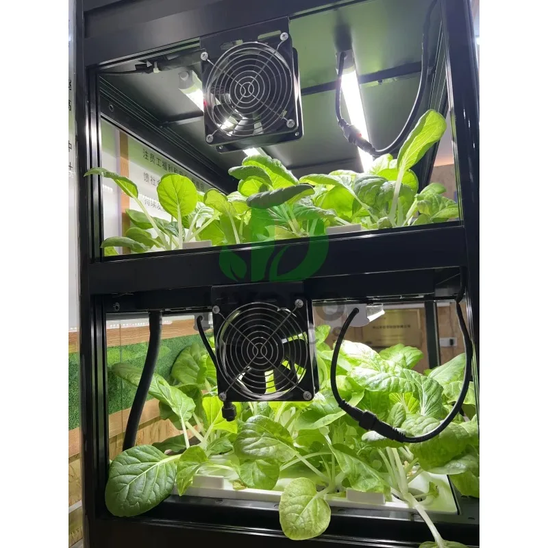 108 Holes Hydroponic Cabinet G - Aquaponics Home Kit avaliação e preço