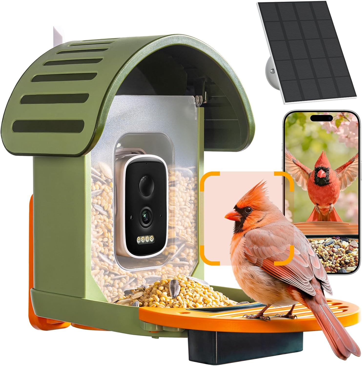 Smart Bird Feeder with Camera, - Smart Bird Feeder Camera avaliação e preço