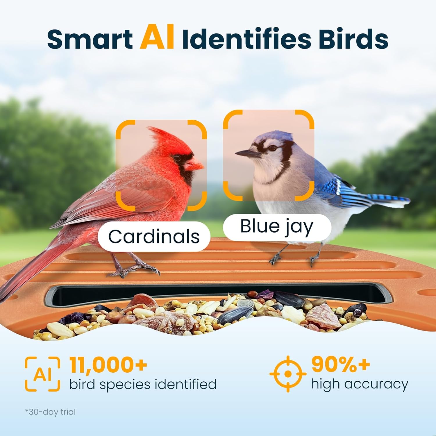 Smart Bird Feeder with Camera, - Smart Bird Feeder Camera avaliação e preço