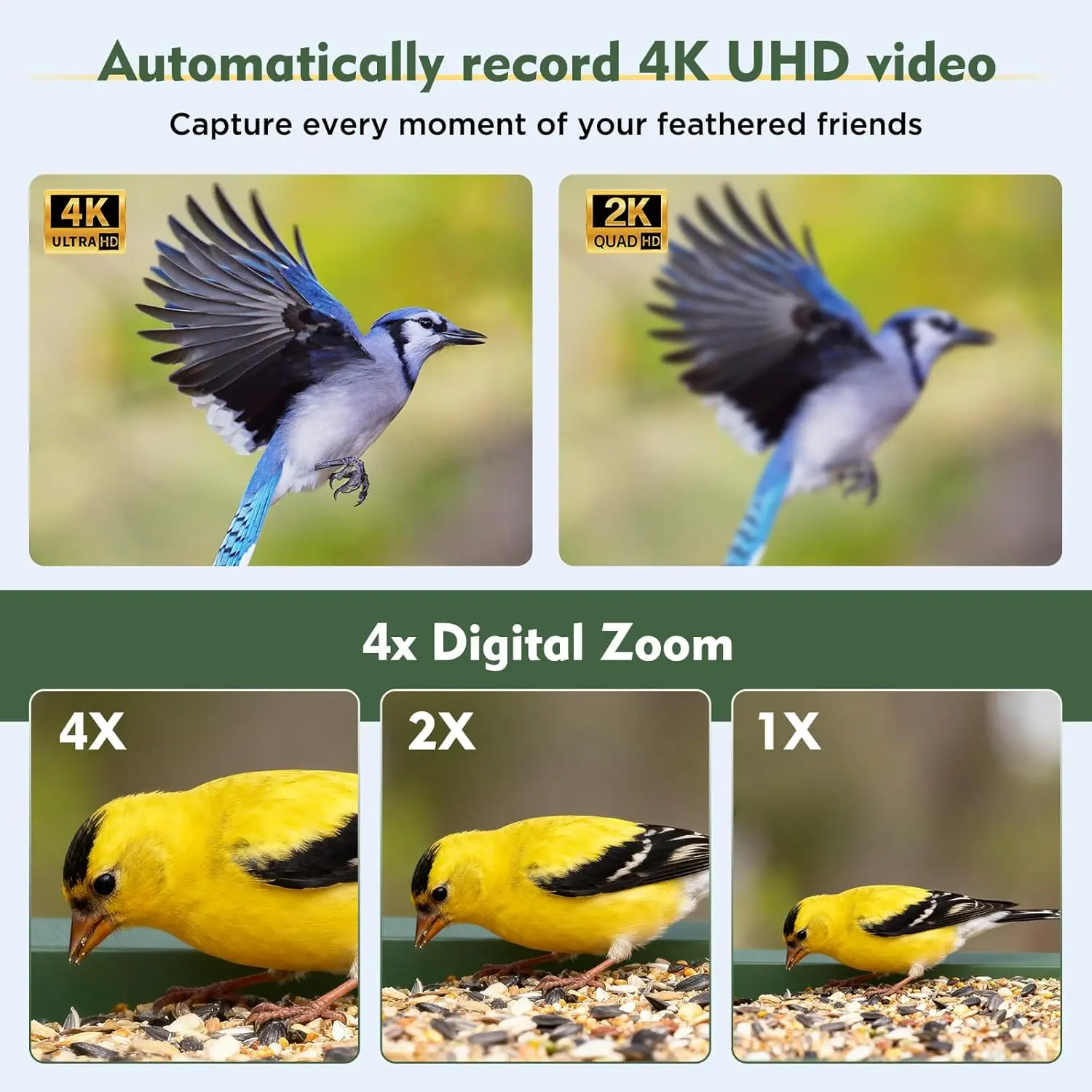Solar Powered Smart Bird Feede - Smart Bird Feeder Camera avaliação e preço