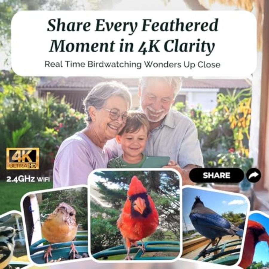 Smart Bird Feeder with 4K Came - Smart Bird Feeder Camera avaliação e preço