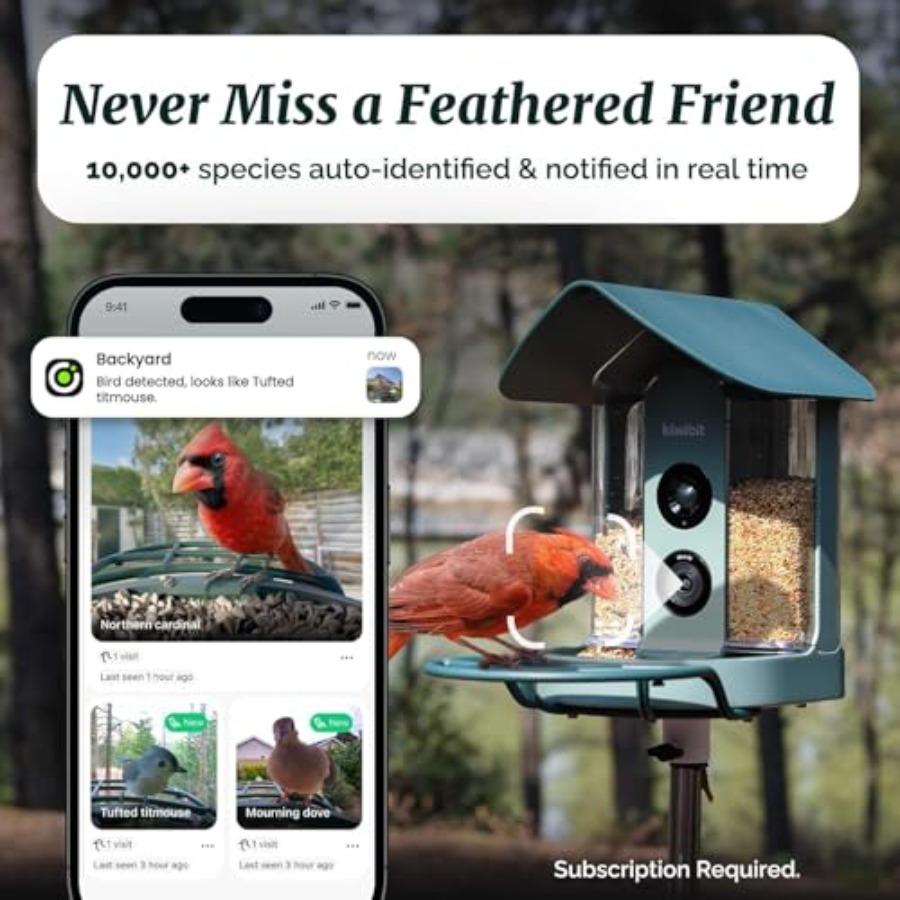 Smart Bird Feeder with 4K Came - Smart Bird Feeder Camera avaliação e preço
