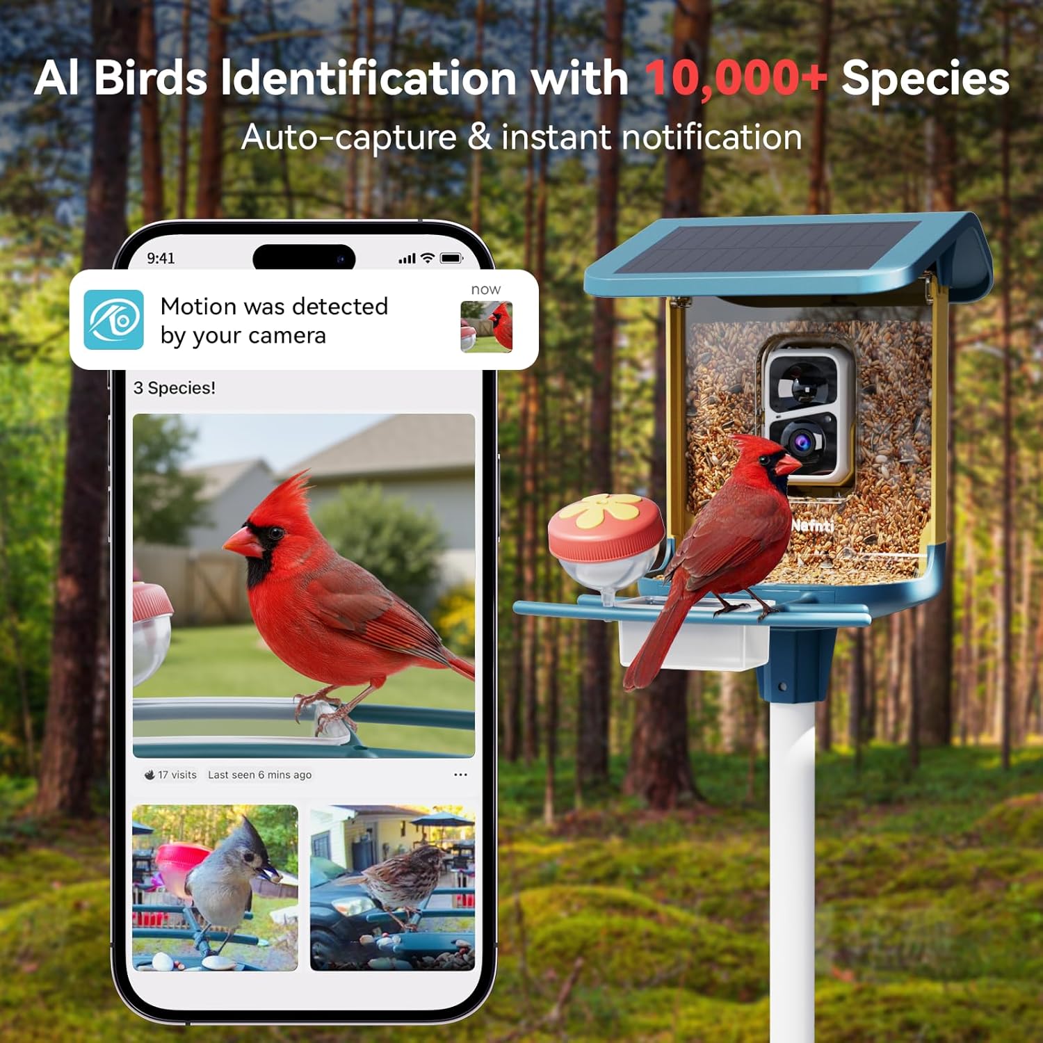 Smart Bird Feeder with 2K Came - Smart Bird Feeder Camera avaliação e preço