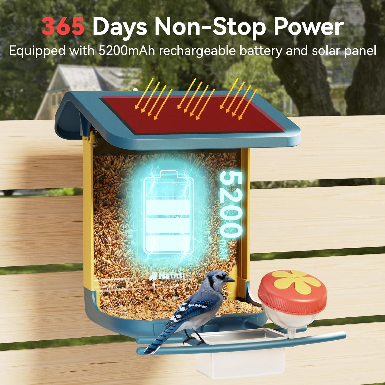 Smart Bird Feeder with 2K Came - Smart Bird Feeder Camera avaliação e preço