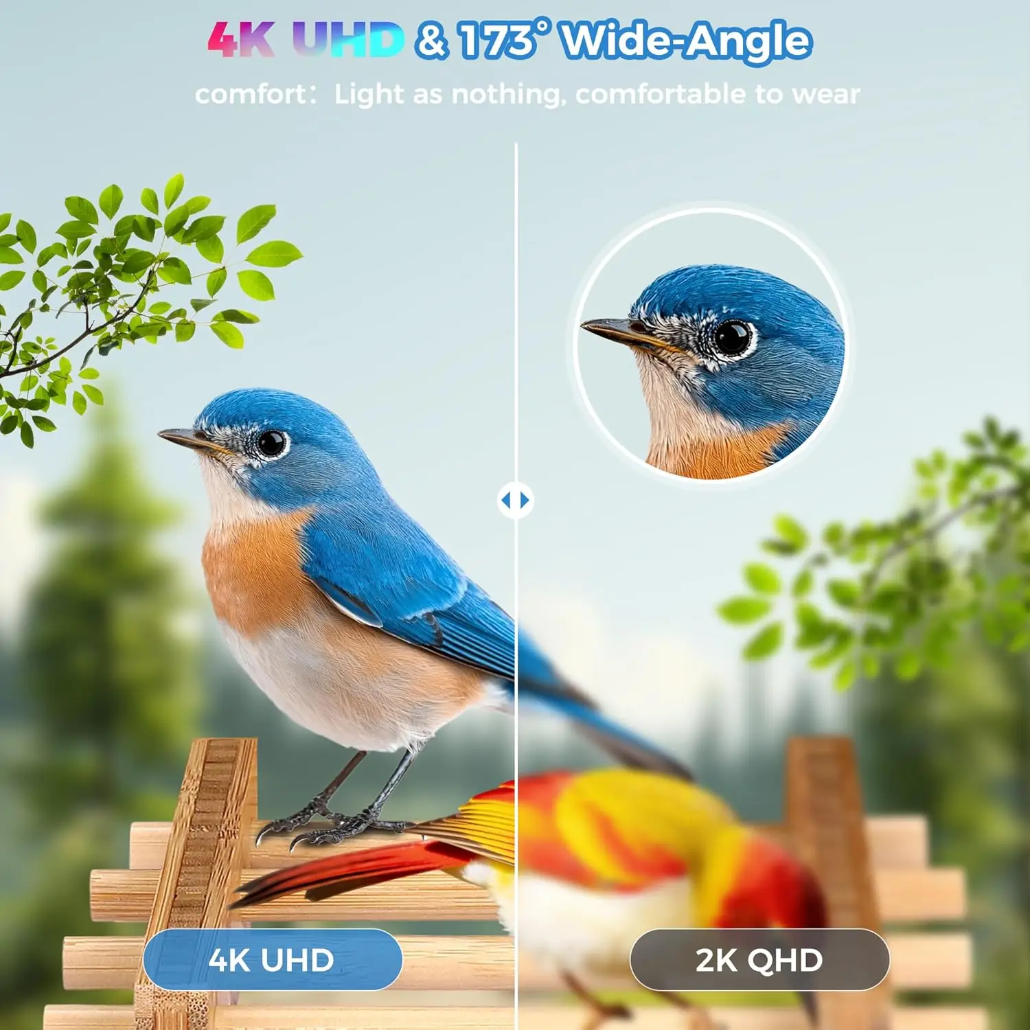 Smart Bird Feeder 4K Camera AI - Smart Bird Feeder Camera avaliação e preço