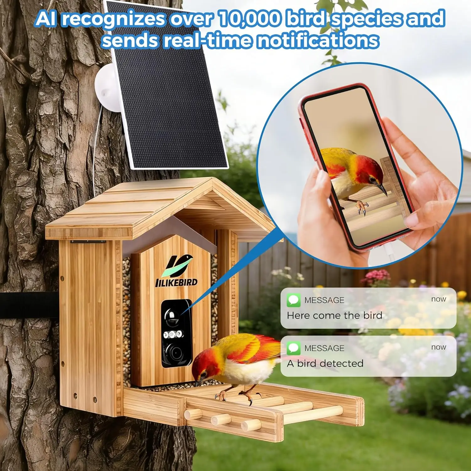 Smart Bird Feeder 4K Camera AI - Smart Bird Feeder Camera avaliação e preço