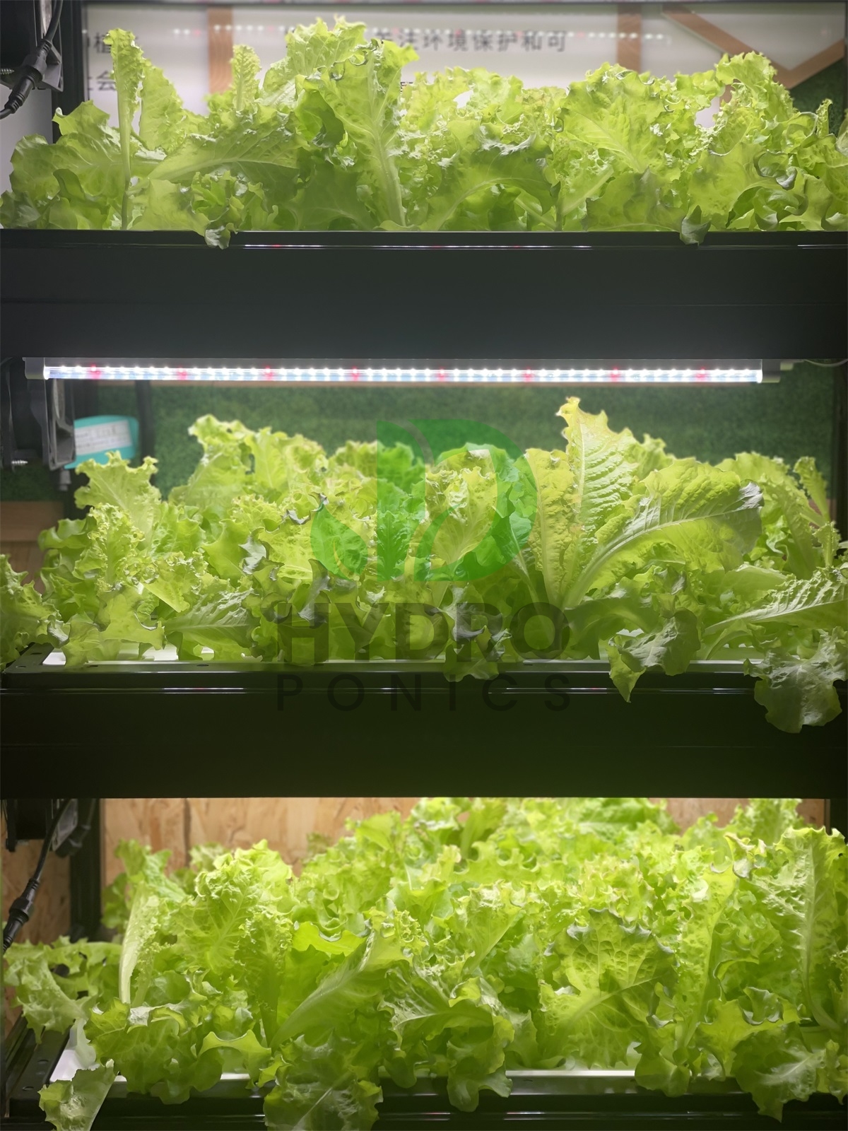 Indoor Home Smart Led Aquaponi - Aquaponics Home Kit avaliação e preço