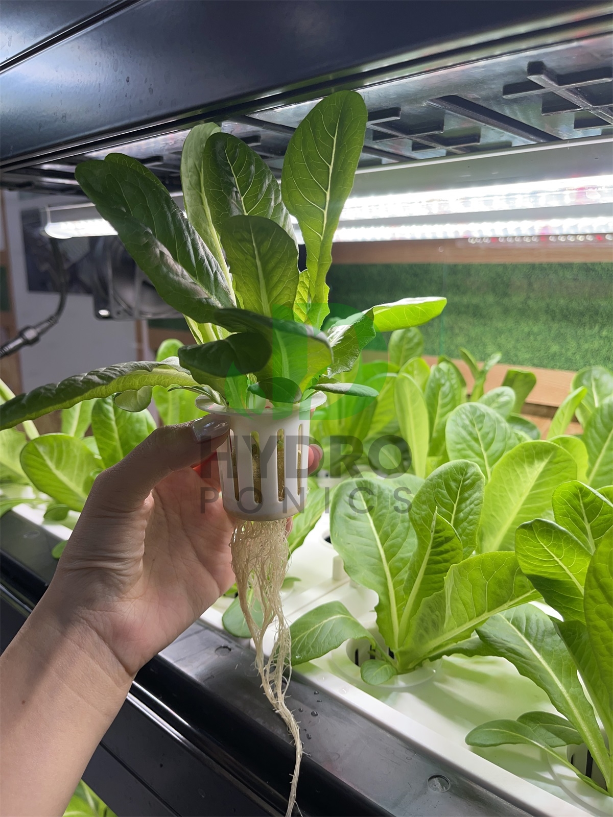 Indoor Home Smart Led Aquaponi - Aquaponics Home Kit avaliação e preço