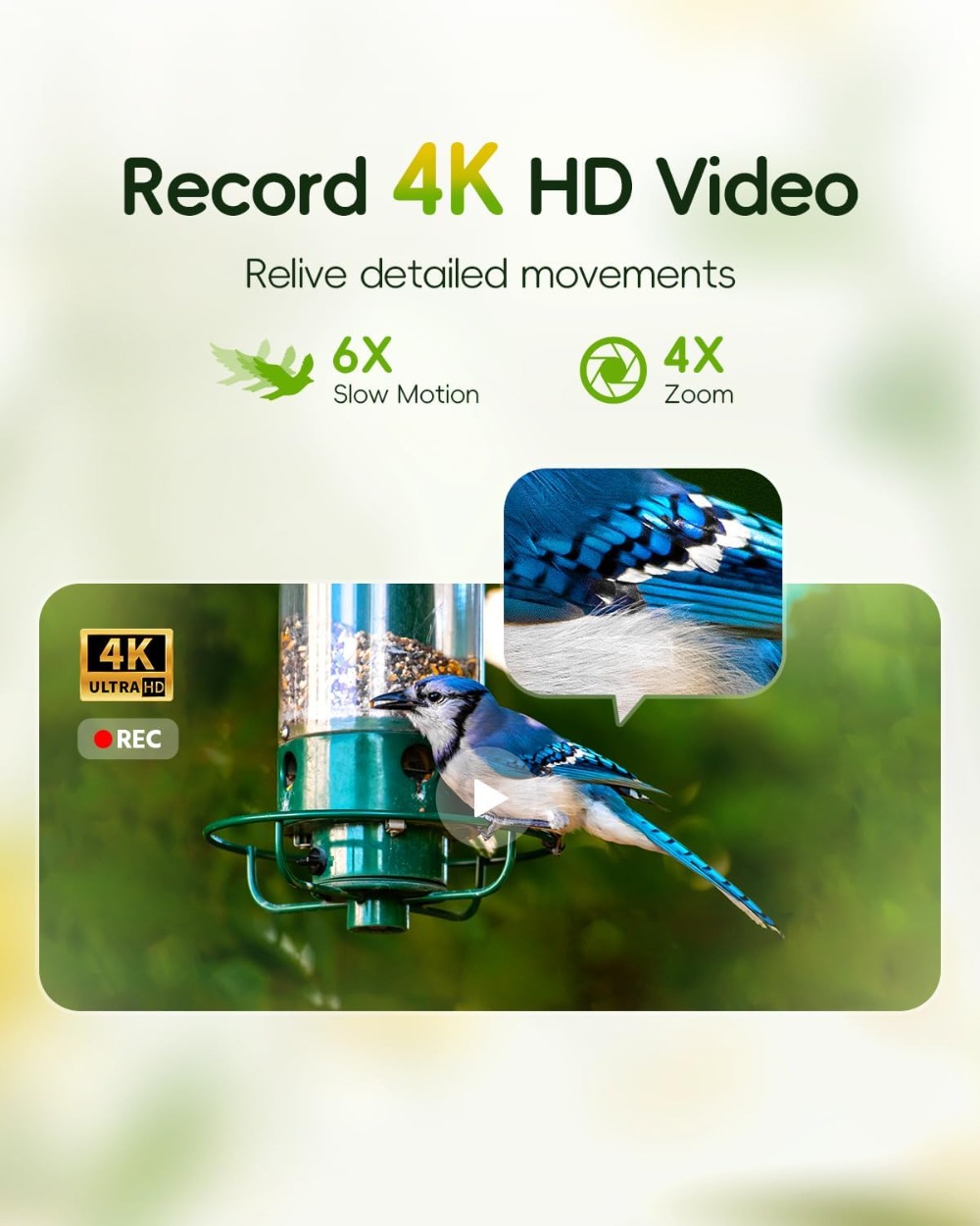 4K HD Smart Bird Feeder Camera - Smart Bird Feeder Camera avaliação e preço