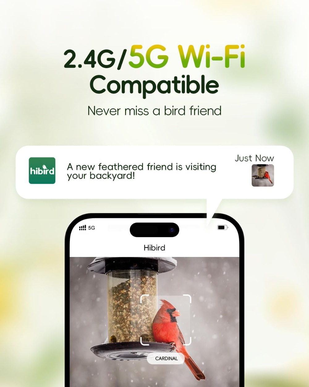 4K HD Smart Bird Feeder Camera - Smart Bird Feeder Camera avaliação e preço