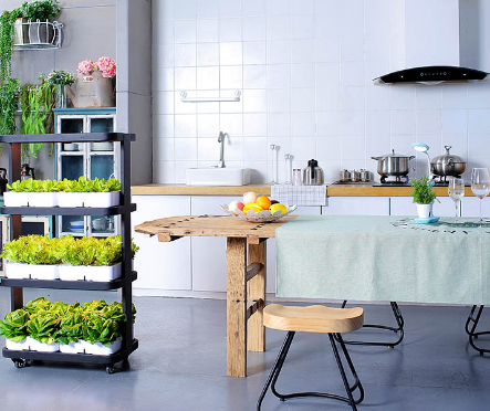 Indoor Home Smart Herb Garden  - Aquaponics Home Kit avaliação e preço