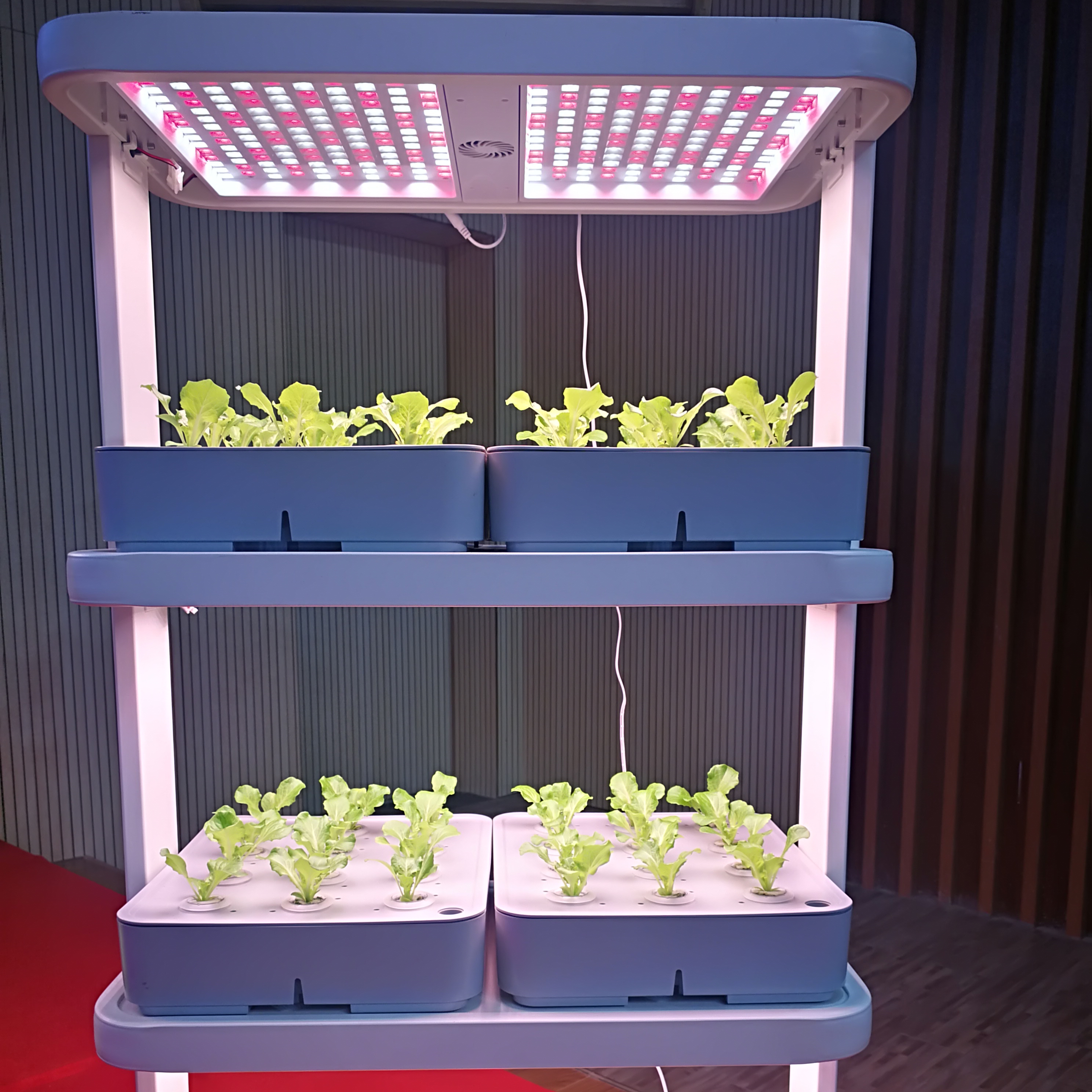 Indoor Home Smart Herb Garden  - Aquaponics Home Kit avaliação e preço
